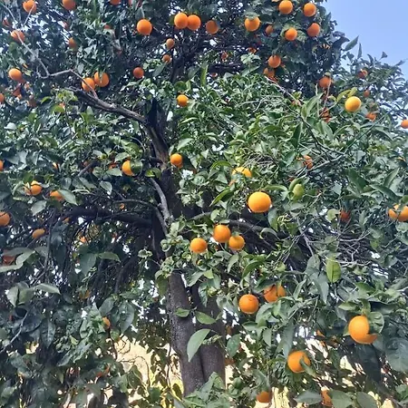 Villetta Dall'Angelina בית נופש